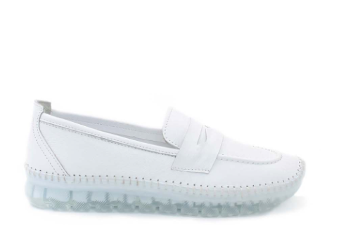 Immagine 2025-03-18 145639