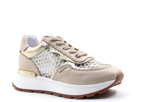 Immagine 2025-03-18 150414