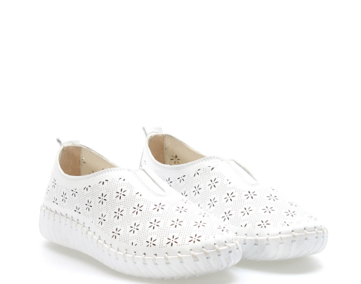 Immagine 2025-03-18 170319