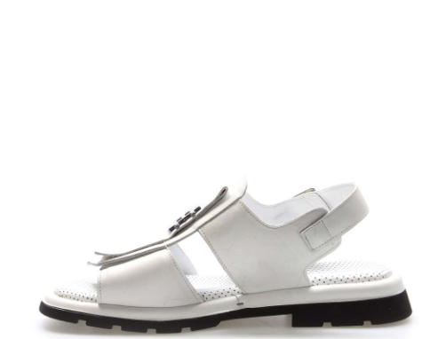 Immagine 2025-04-09 161606