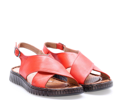 Immagine 2025-04-11 152008