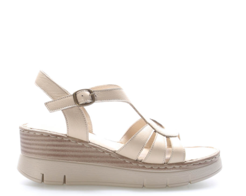 Immagine 2025-04-11 154108